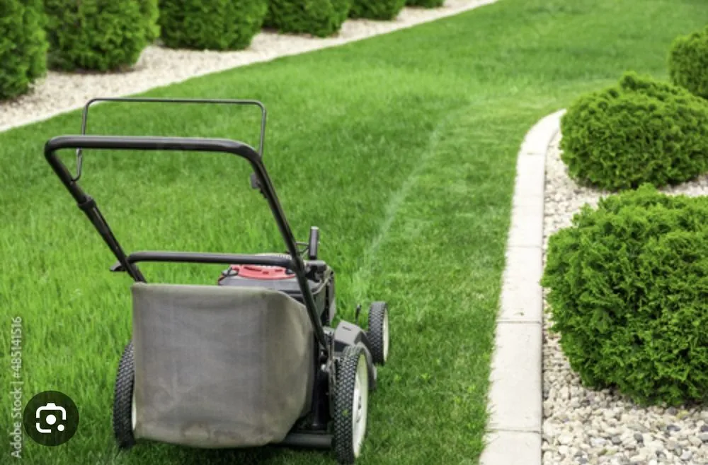 Affordable yard cleanup service in Catonsville, MD - All Mowing