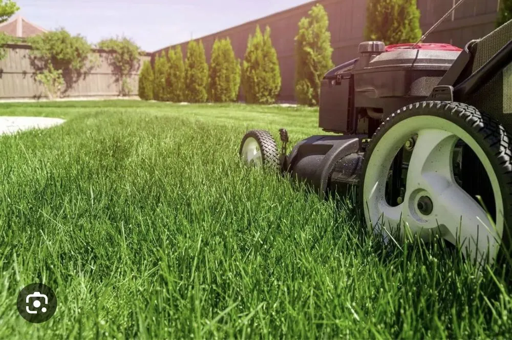 Trusted landscaping services experts serving Catonsville, MD - All Mowing