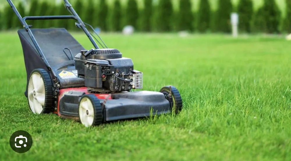 Reliable outdoor landscaping in Catonsville, MD by All Mowing