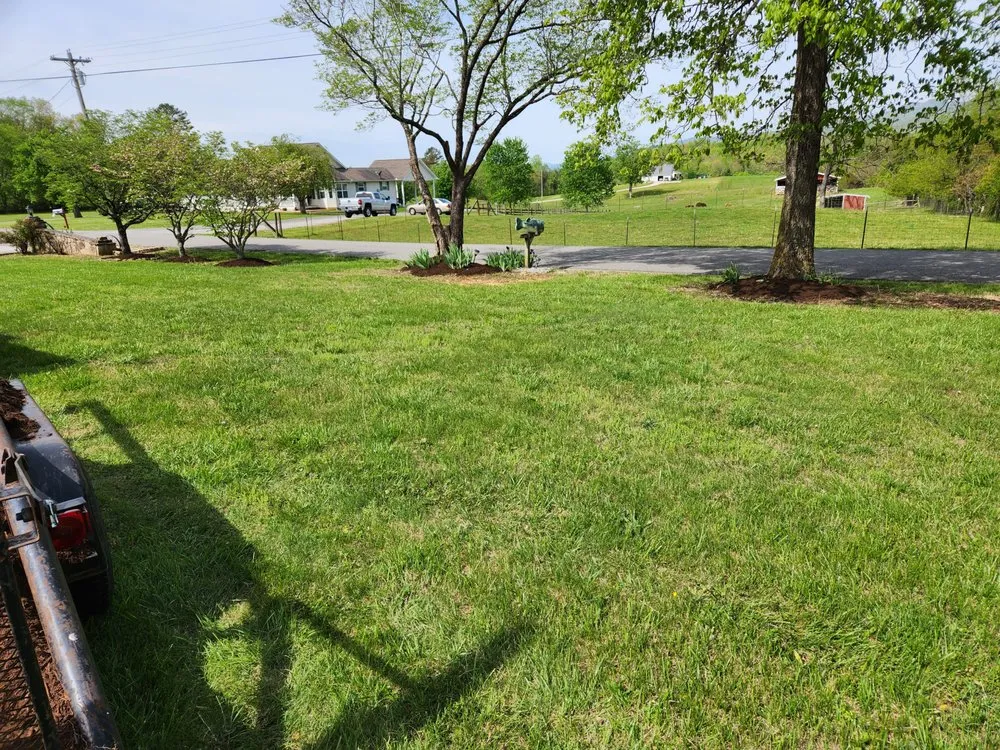 Expert outdoor landscaping for beautiful yards in LaFollette, TN by All N 1 Landscaping