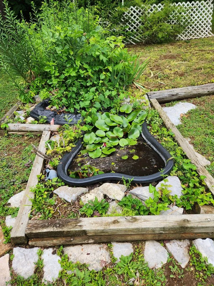 Trusted lawn care service in LaFollette, TN by All N 1 Landscaping