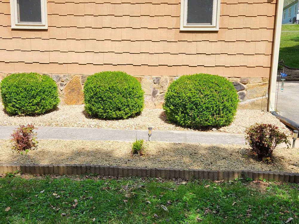 Professional lawn mowing service in LaFollette, TN by All N 1 Landscaping