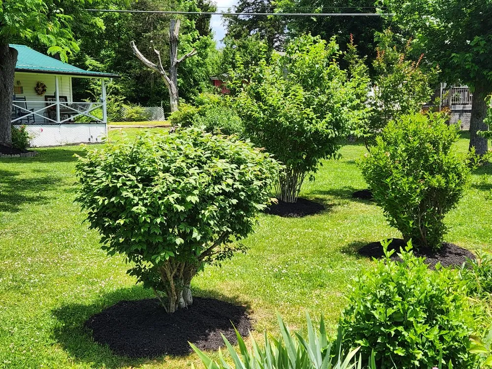 Trusted landscaping services experts serving LaFollette, TN - All N 1 Landscaping