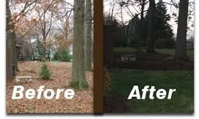 Affordable lawn mowing service for year-round maintenance in Pasco, WA by All-N-1 Lawncare