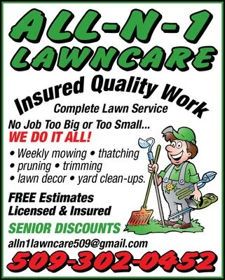 All-N-1 Lawncare Logo