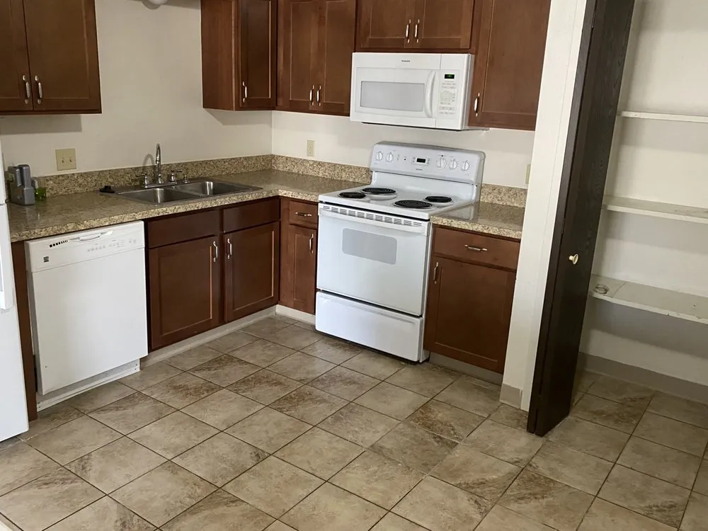 Reliable yard maintenance experts serving Lansing, MI - All N 1 Serv