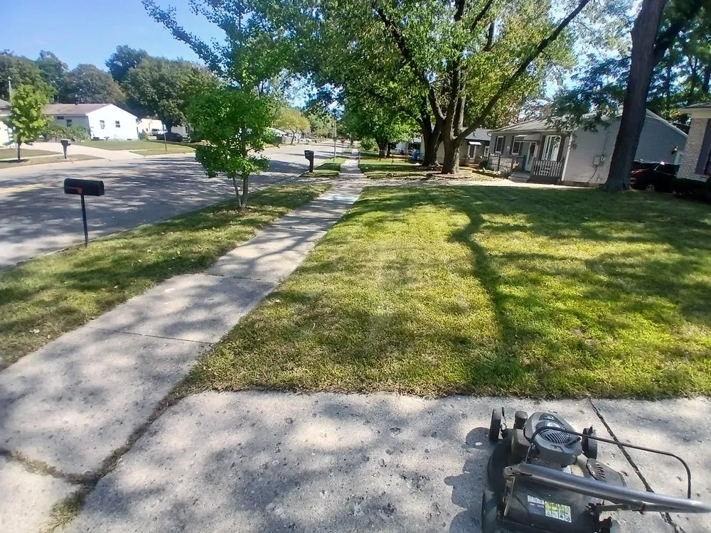 Local yard cleanup service in Lansing, MI - All N 1 Serv