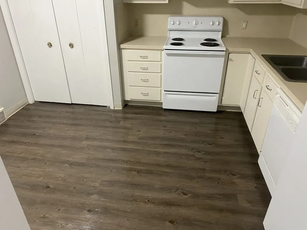 Reliable yard cleanup service in Lansing, MI - All N 1 Serv