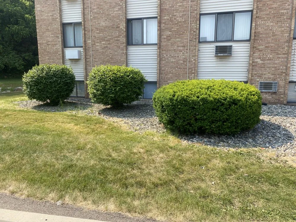 Custom landscape installation in Lansing, MI by All N 1 Serv