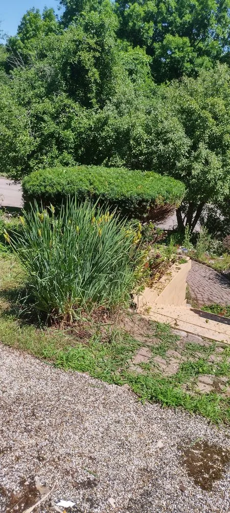 Custom lawn care service for outdoor upgrades in Lansing, MI by All N 1 Serv