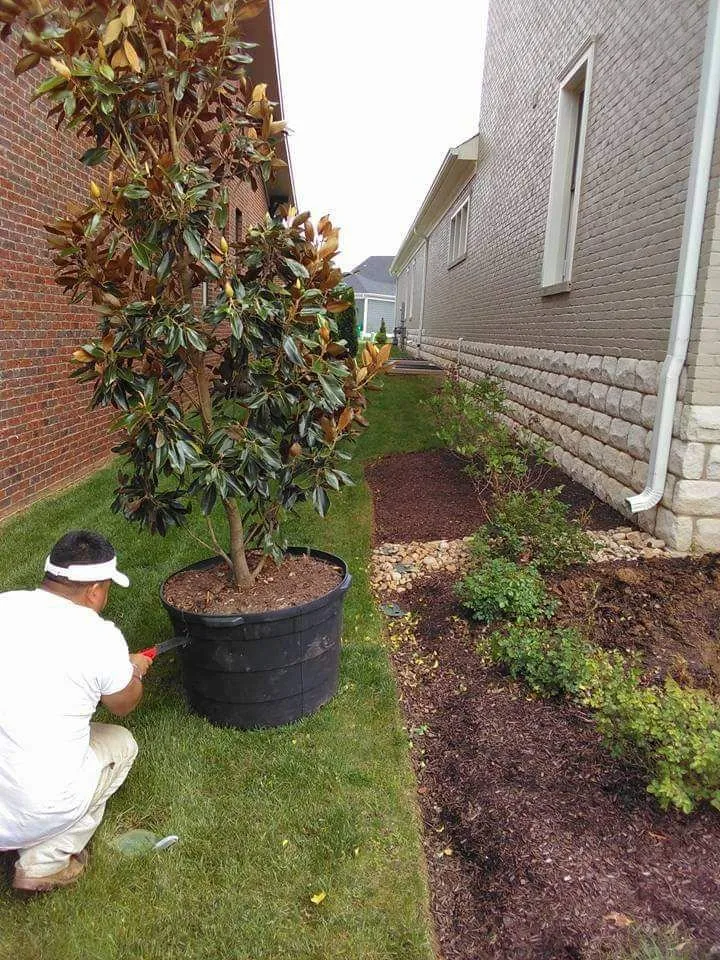 Affordable outdoor landscaping for beautiful yards in Cocoa, FL by All N 1 Services