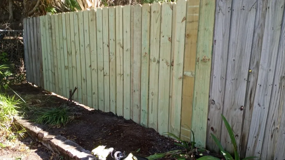 Expert yard cleanup service experts serving Cocoa, FL - All N 1 Services