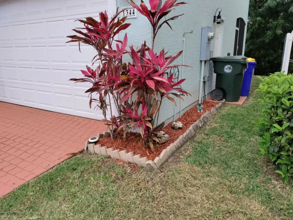 Expert residential landscaping for outdoor upgrades in Cocoa, FL by All N 1 Services