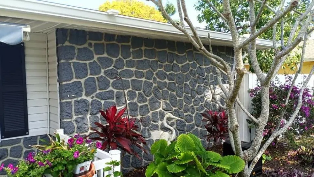 Trusted yard cleanup service in Cocoa, FL by All N 1 Services