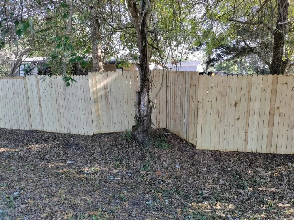 Reliable landscaping services in Cocoa, FL - All N 1 Services