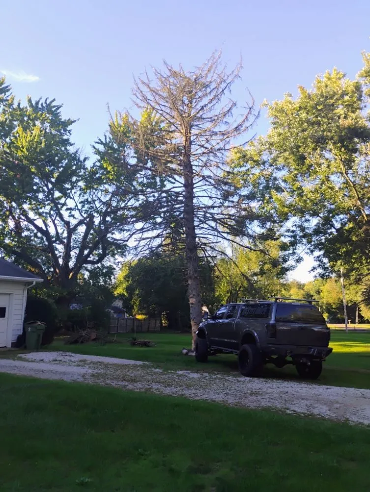 Expert yard maintenance in New Franklin, OH - All N All Property Maintenance