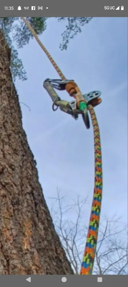 Top-rated landscape installation near you in New Franklin, OH by All N All Property Maintenance