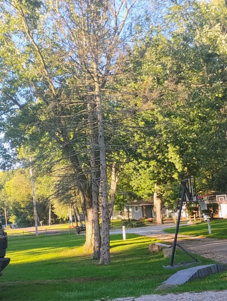 Reliable garden landscaping in New Franklin, OH - All N All Property Maintenance