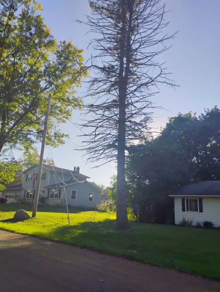 Affordable landscape installation in New Franklin, OH by All N All Property Maintenance