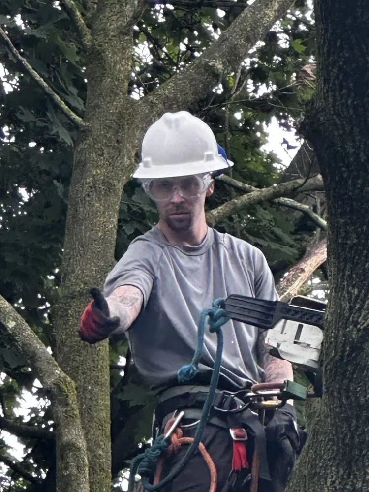 Local garden landscaping in New Franklin, OH - All N All Property Maintenance