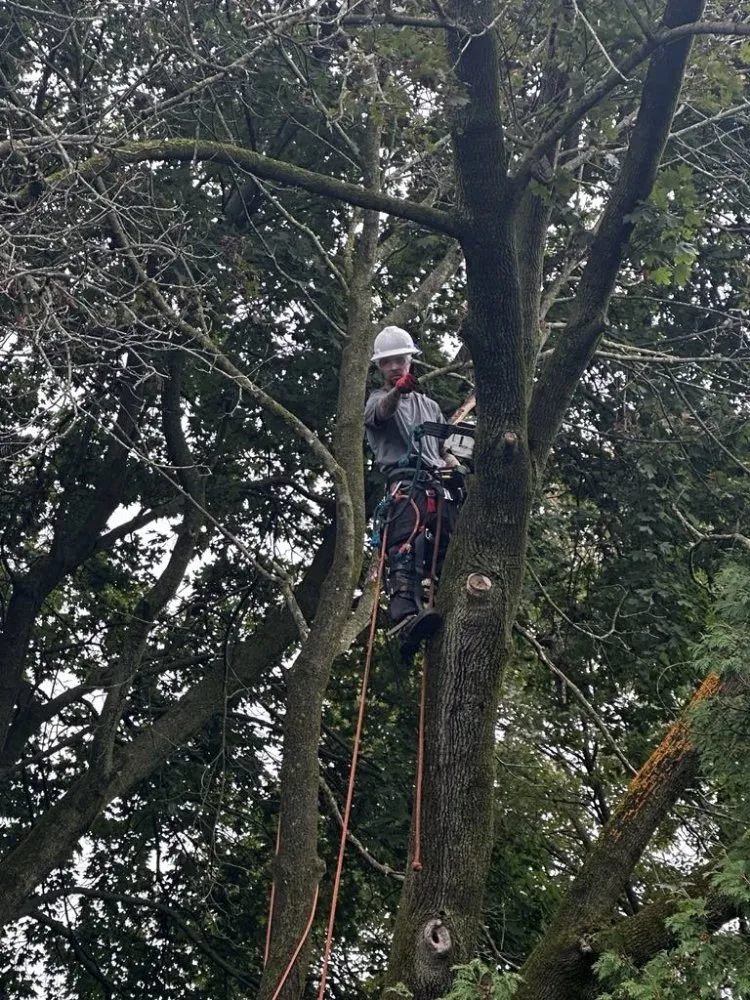 Affordable residential landscaping with custom design in New Franklin, OH by All N All Property Maintenance