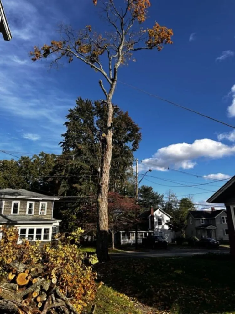 Affordable yard maintenance for outdoor upgrades in New Franklin, OH by All N All Property Maintenance