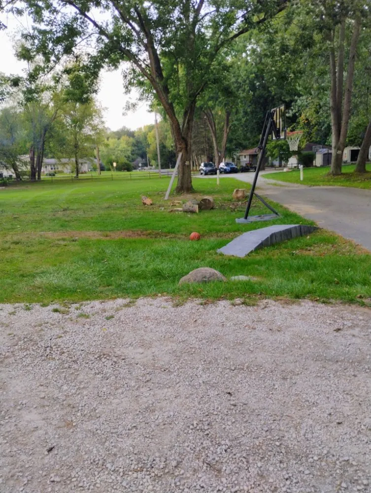 Expert yard cleanup service in New Franklin, OH by All N All Property Maintenance