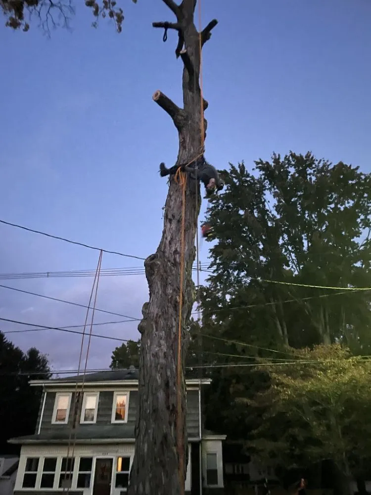 Trusted landscape installation for outdoor upgrades in New Franklin, OH by All N All Property Maintenance