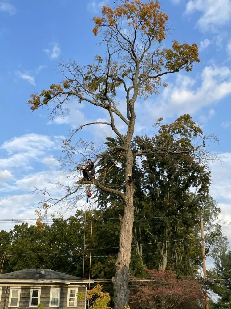 Trusted residential landscaping in New Franklin, OH - All N All Property Maintenance