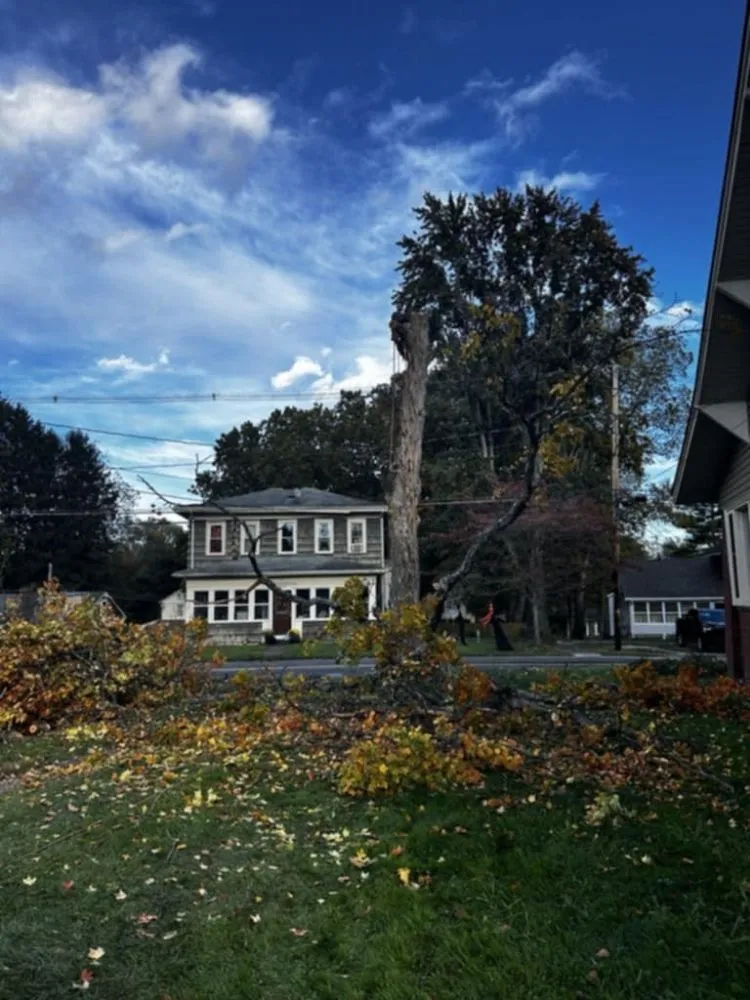 Local residential landscaping experts serving New Franklin, OH - All N All Property Maintenance