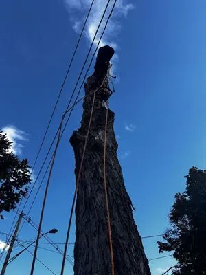 All N All Property Maintenance