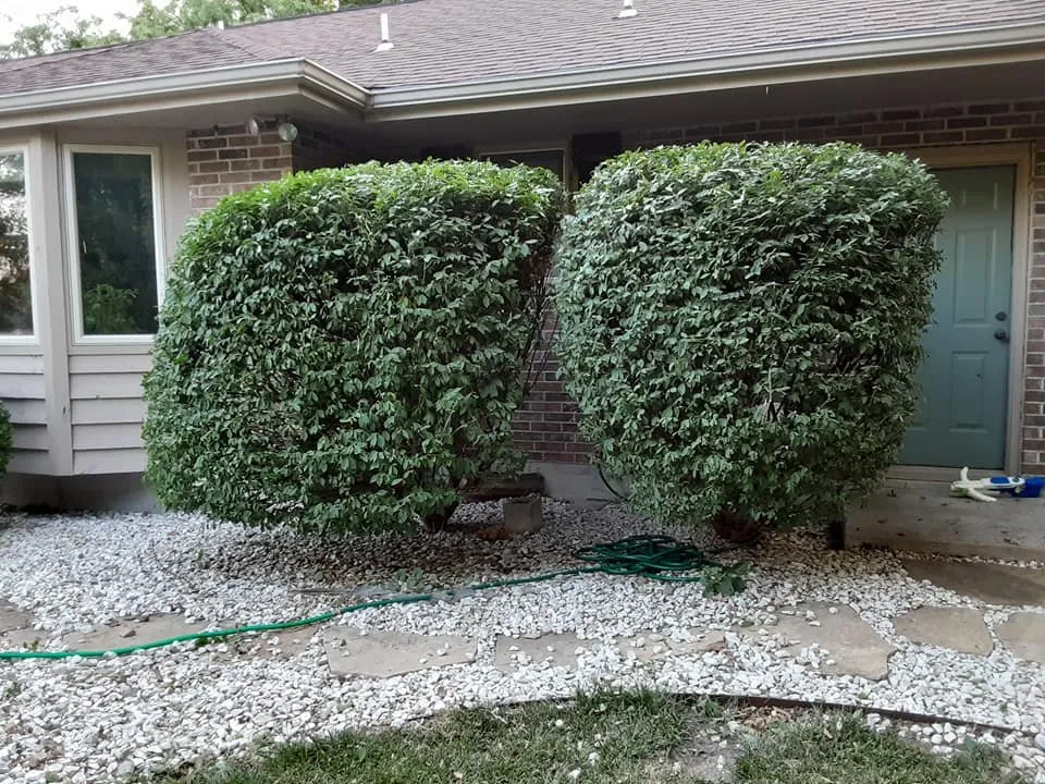 Professional garden landscaping in Topeka, KS - All-N-Done
