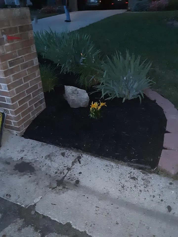 Trusted yard cleanup service experts serving Topeka, KS - All-N-Done