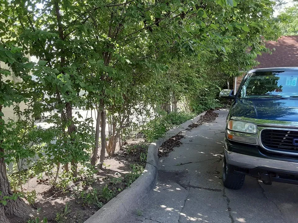 Reliable yard maintenance in Topeka, KS - All-N-Done