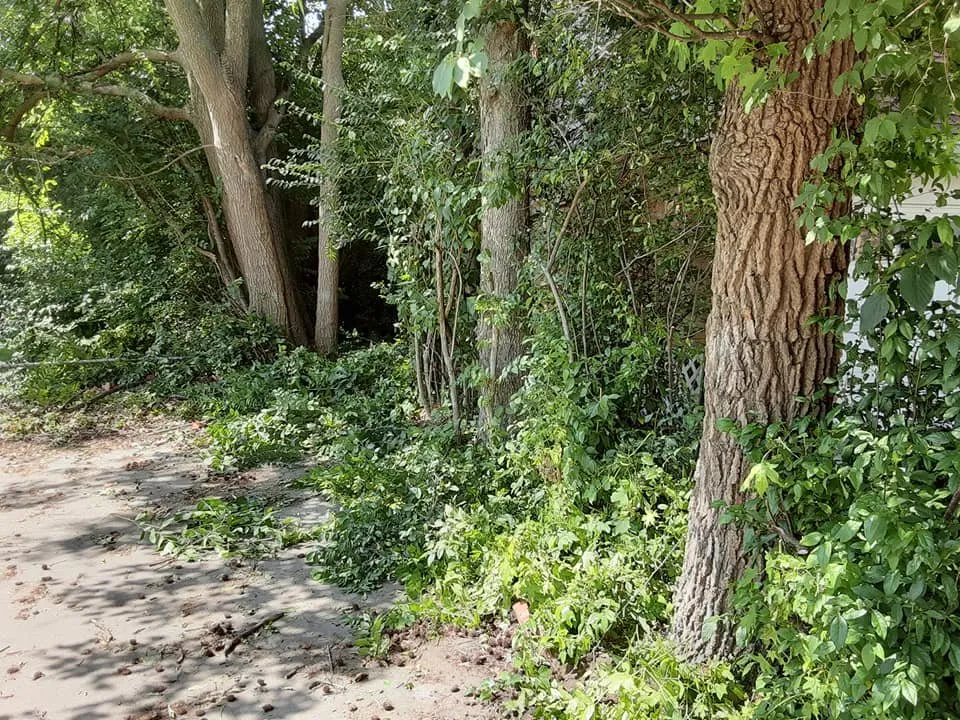 Reliable residential landscaping in Topeka, KS by All-N-Done