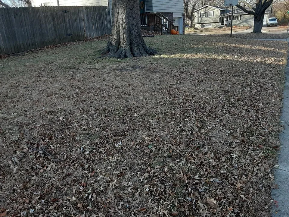 Expert garden landscaping near you in Topeka, KS by All-N-Done