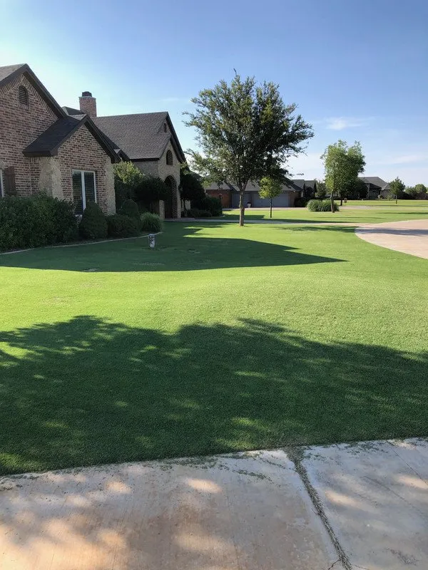 Reliable yard cleanup service experts serving Hurst, TX - All N Lawn Service