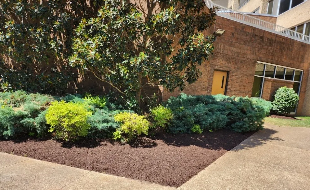 Trusted landscape design in Nashville, TN by All N One 2 Lawn Care & Junk Removal