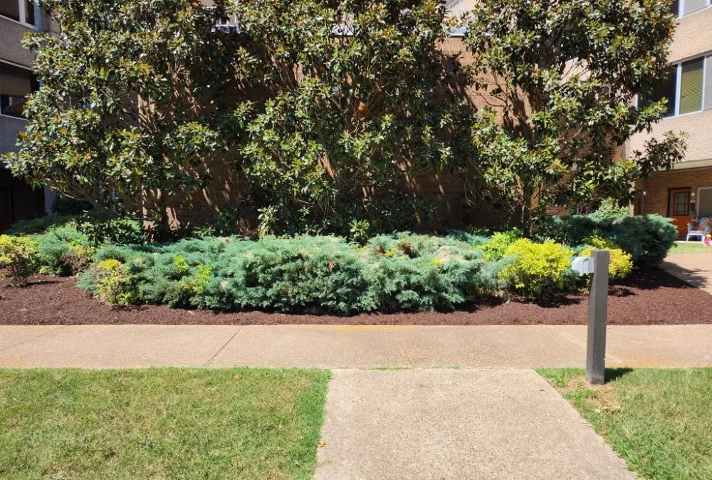 Custom residential landscaping in Nashville, TN - All N One 2 Lawn Care & Junk Removal