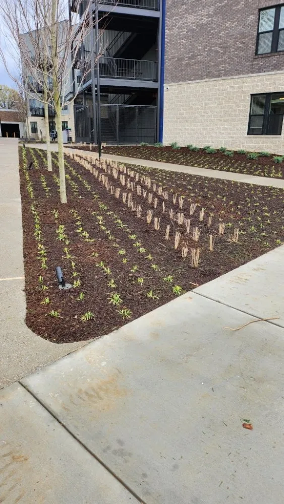 Reliable residential landscaping in Nashville, TN by All N One 2 Lawn Care & Junk Removal