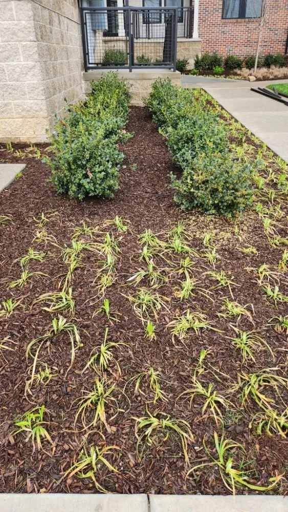 Professional residential landscaping for outdoor upgrades across Nashville, TN - All N One 2 Lawn Care & Junk Removal