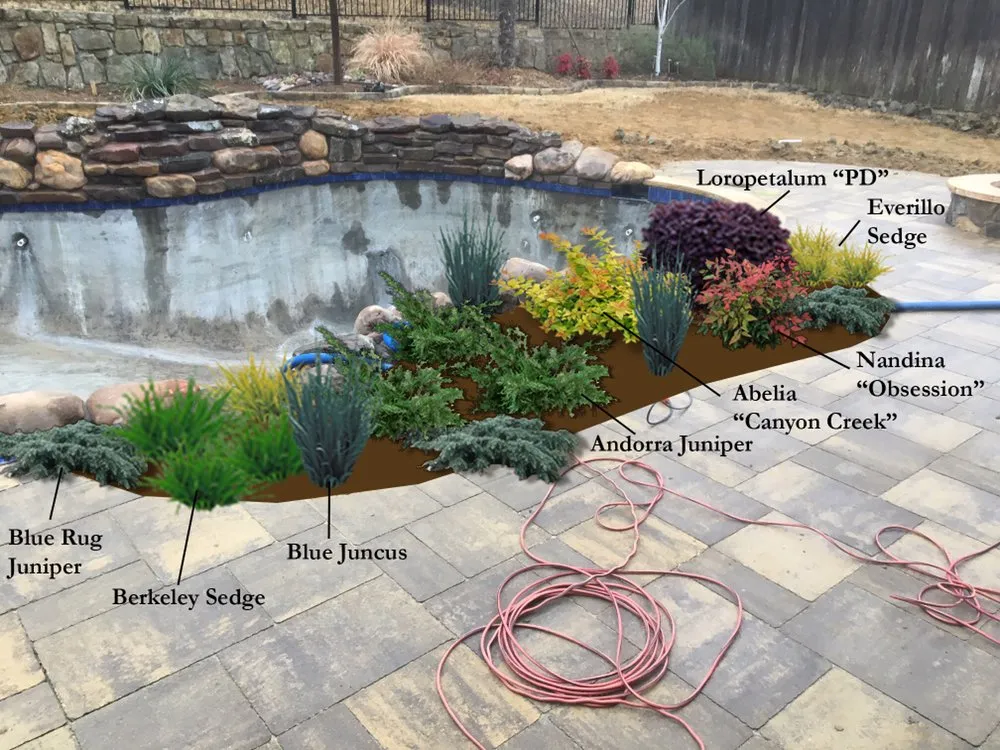 Expert lawn care service experts serving Royse City, TX - All N One Irrigation & Landscape