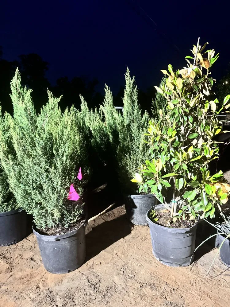 Custom landscape design in Elgin, TX - All Native Trees & Landscaping