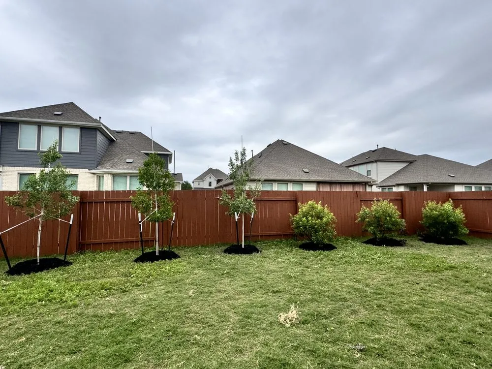 Expert landscaping services for outdoor upgrades across Elgin, TX - All Native Trees & Landscaping