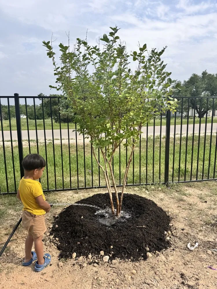 Local residential landscaping for homes in Elgin, TX by All Native Trees & Landscaping