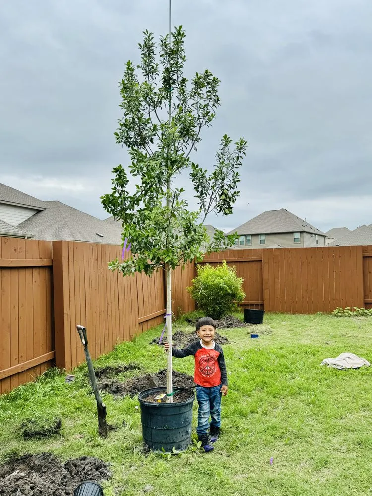 Reliable lawn mowing service with custom design in Elgin, TX by All Native Trees & Landscaping