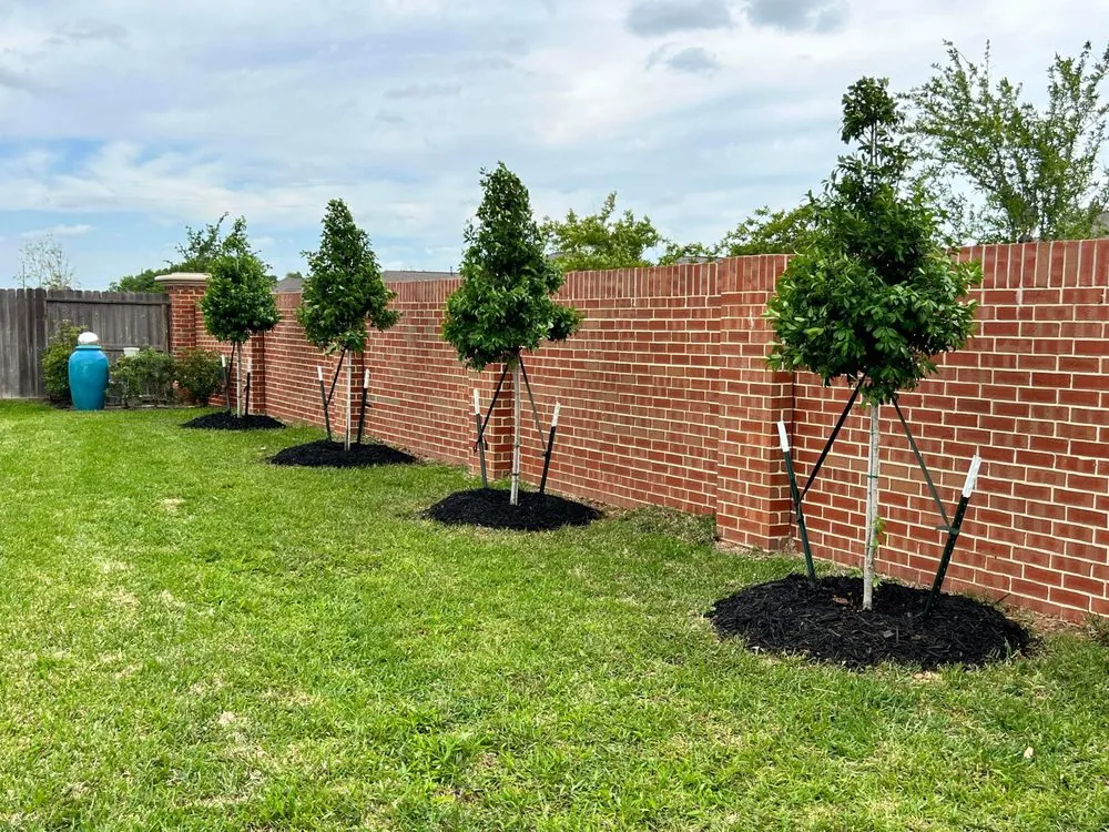 Custom landscaping services in Elgin, TX by All Native Trees & Landscaping