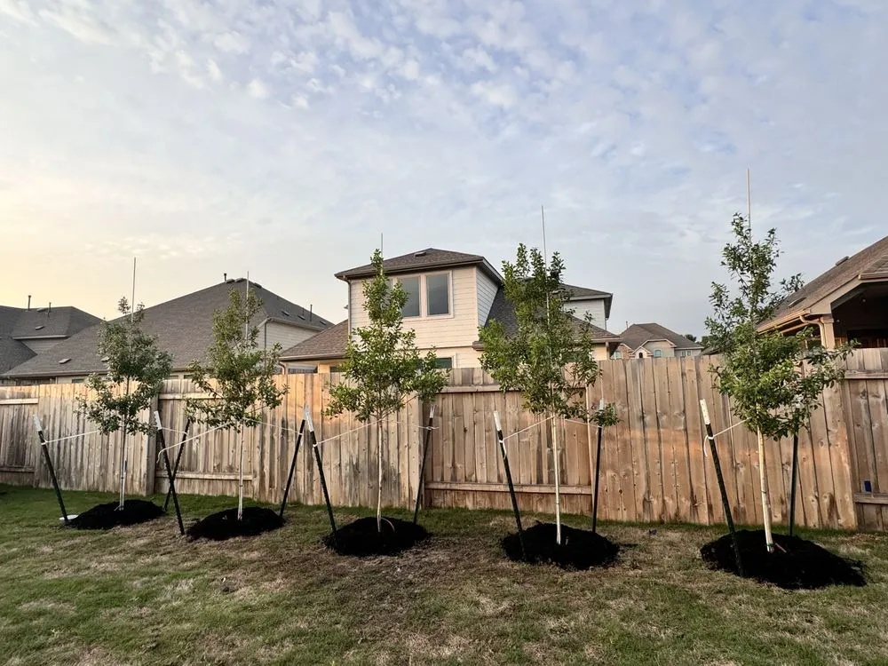 Expert landscape installation for year-round maintenance across Elgin, TX - All Native Trees & Landscaping
