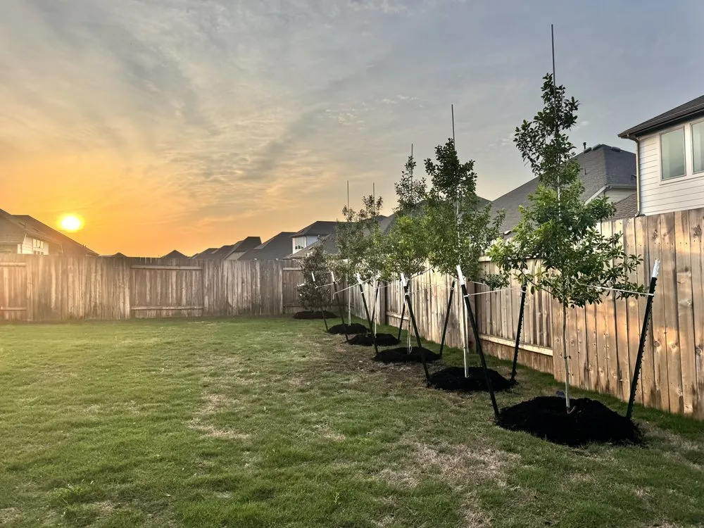 Affordable residential landscaping for residential properties in Elgin, TX by All Native Trees & Landscaping