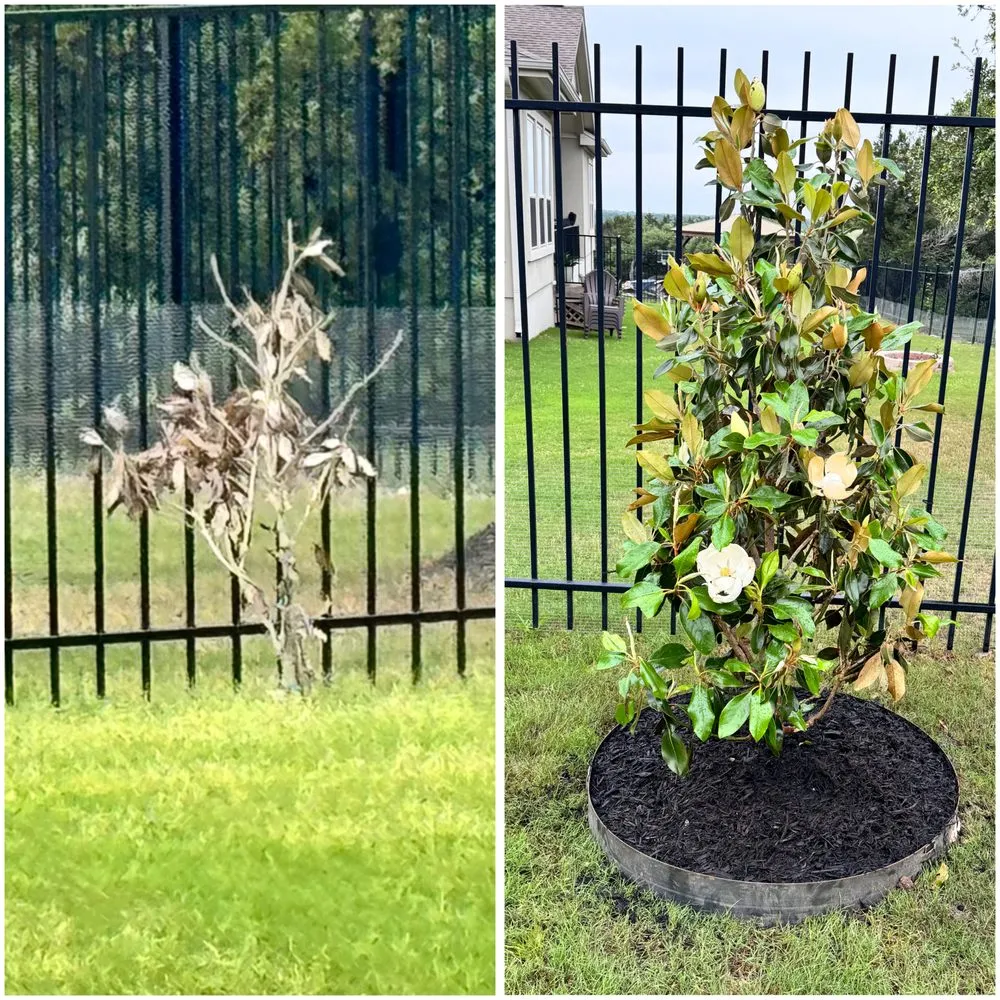 Local garden landscaping for beautiful yards in Elgin, TX by All Native Trees & Landscaping